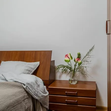 Domillion 1bdr Traku Str Apt&free Parking Tr135 Apartment Vilnius