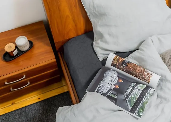 Domillion 1bdr Traku Str Apt&free Parking Tr135 * ヴィリニュス