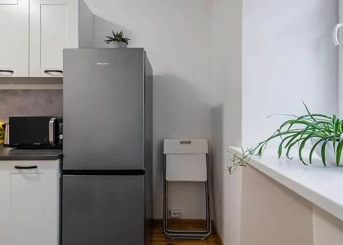 Domillion 1bdr Traku Str Apt&free Parking Tr135 Lejlighed Vilnius