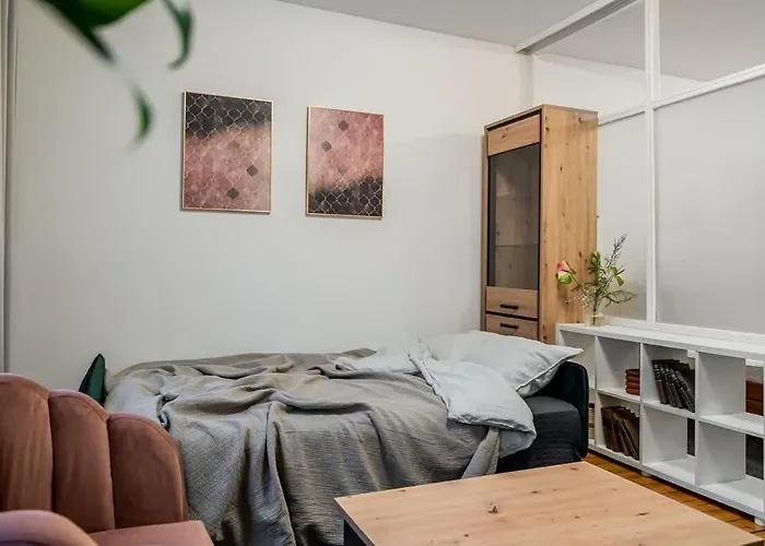 Domillion 1bdr Traku Str Apt&free Parking Tr135 Lejlighed Vilnius